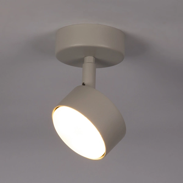 Lampa Sigma NEMO 1 S plafon szary beż 40886