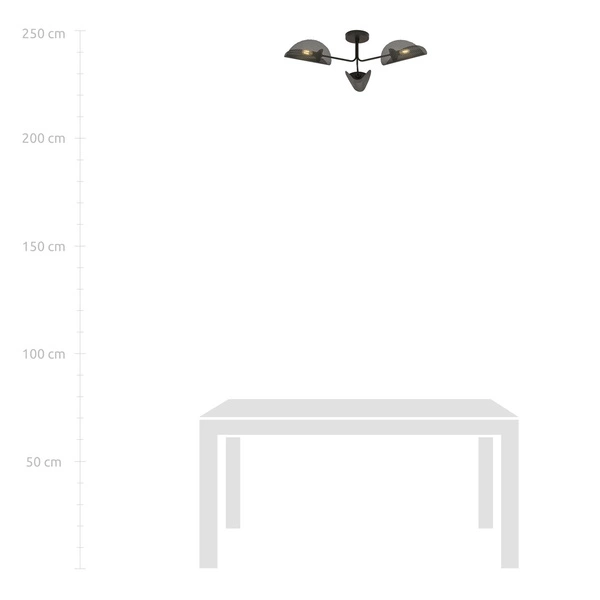 Lampa sufitowa Emibig GOMEZ 3 Czarny oprawa oświetleniowa 1171/3