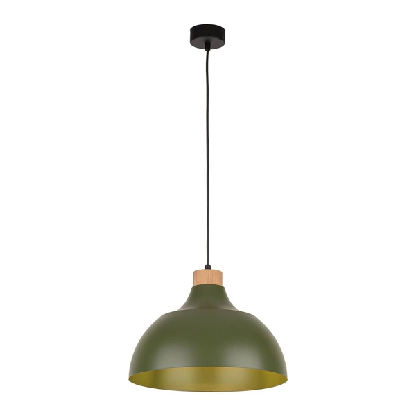 CAP GREEN LAMPA WISZĄCA 1 PŁ 5665