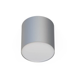Punktowa lampa POINT PLEXI SILVER M | srebrny 6527