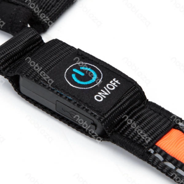 Świecąca smycz LED dla psa typ USB A dł. 120cm | zielony