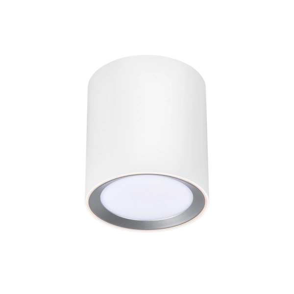 Lampa sufitowa LandonSmar LED 2700-6500K Biała zmienna (CCT) Metal | Biały