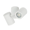 Lampa sufitowa kinkiet spot reflektorek CROSTI CANNA DUE biały