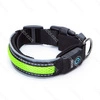 Świecąca obroża typ.B LED dla psa USB dł. 31-41cm | zielony