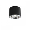 Aldex Lampa sufitowa BOT 1047PL_G, czarna, 1x35W GU10