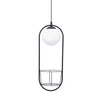 5003 PLANT 1 PENDANT LAMP