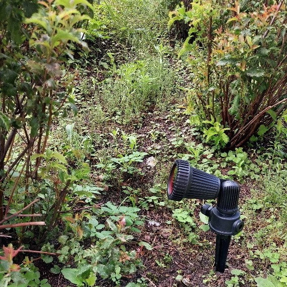 Reflektor ogrodowy PRIT LK4001-15A czarny