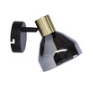Kinkiet GREGORY 21-76724 czarno-złoty z dymionym kloszem 1x40W E14