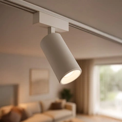 Slim Magnetic Track Biały spot 9W LED Tuya CCT