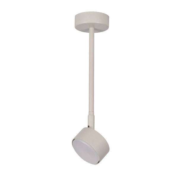 Lampa Sigma NEMO 1 L plafon szary beż 40888