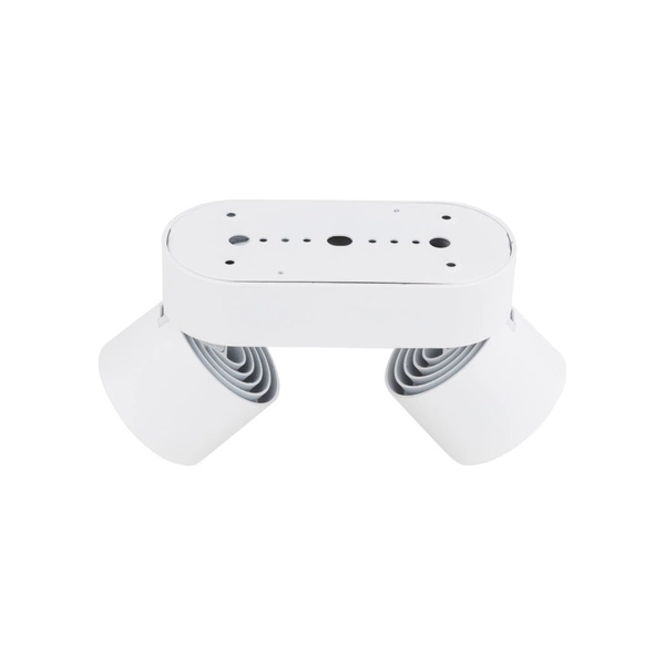 SPARK DUO WHITE CCT 20W