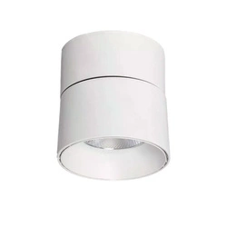 Lampa punktowa Biała 30W Spot LED 2700-3200K Abruzzo Romeo 15x11cm
