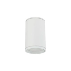 Spot sufitowy tuba  FLARE WHITE GU10 10584