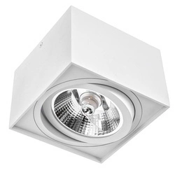 Oprawa LED natynkowa CHLOE AR 111 regulacja kąta 14x14cm | biały