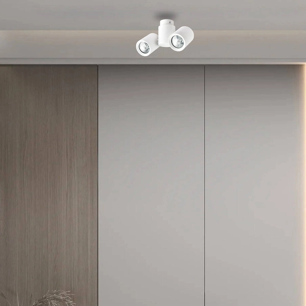 Lampa sufitowa BOSTON 2, biała, 2x50W GU10