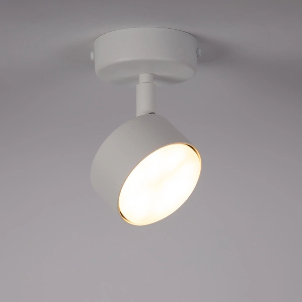 Lampa Sigma NEMO 1 S plafon biały 40978