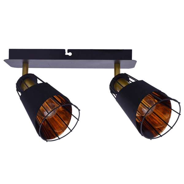 Lampa sufitowa RICK 2xE14