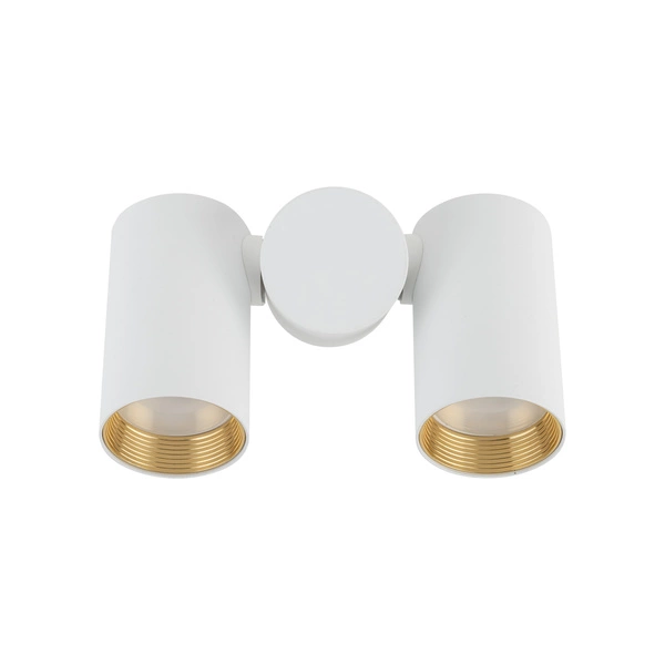 AMIS WHITE DOWNLIGHT 2XGU10