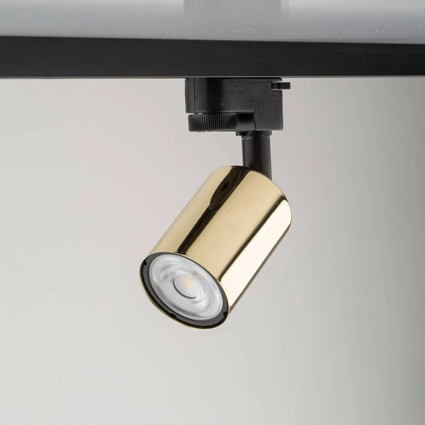 TRACER GOLD GU_10 4921