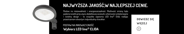 Oprawa uliczna na słupek LED ELIDA 40W 4000K neutralna IP65 | grafitowy