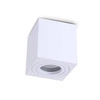 Lampa sufitowa AQUARIUS SQUARE BIAŁA IP44