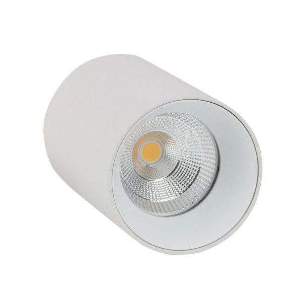 Reflektor S60 do bazy ARDIZONE 9,2W ciepła 3000K biały