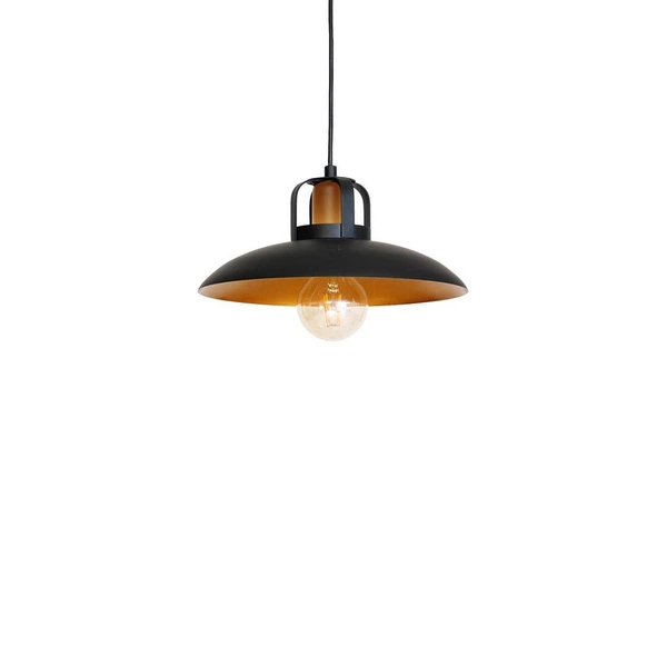 Industrialna Lampa Wisząca FELIX 1xE27 MLP3682