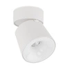 Spot sufitowy tuba regulowana KYOTO WHITE 12W 18136