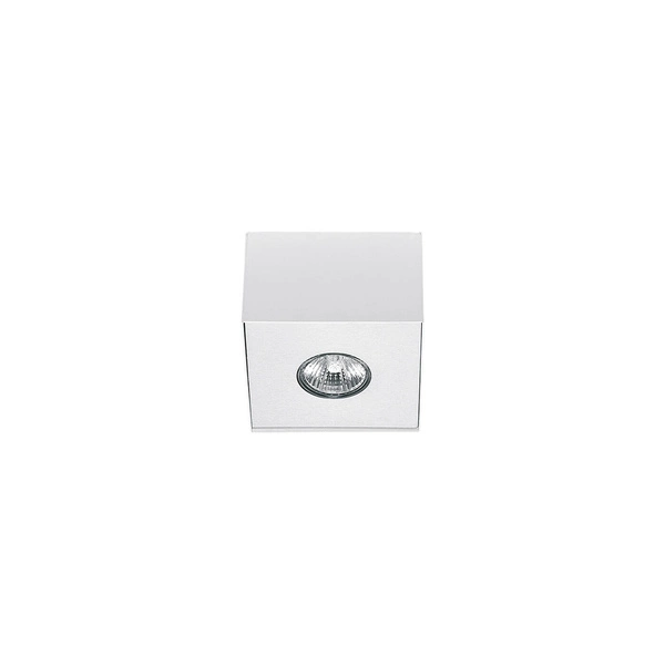 Lampa sufitowa CARSON white I plafon, 5573 5573