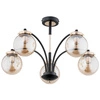 Lampa sufitowa ALFA VIOLA CZARNO-ZŁOTA 5xE14 60cm | 25545