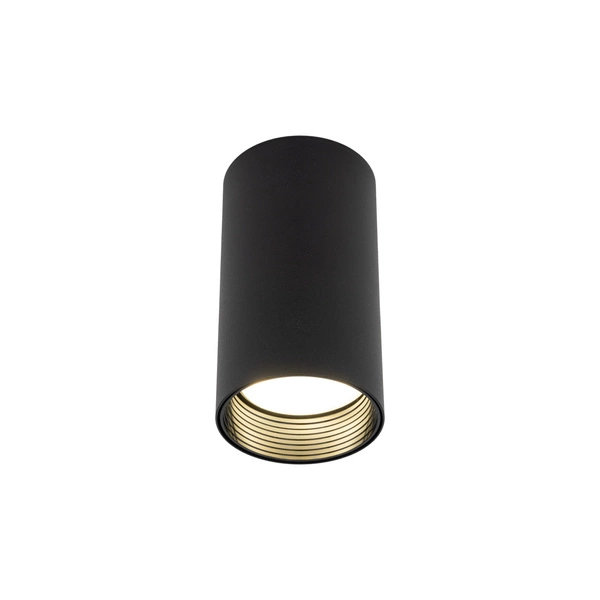AMIS BLACK DOWNLIGHT