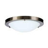 AQUILA LAMPA SUFITOWA PLAFON 32 1X60W E27 PATYNA IP44