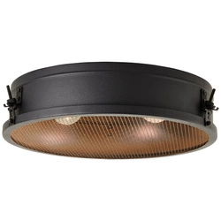 Lampa sufitowa plafon Zois Brilliant 2x8W Czarny Metal