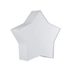 STAR WHITE LAMPA SUFITOWA 2 4514