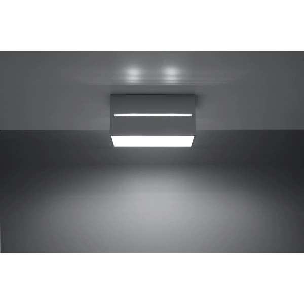 Nowoczesny plafon LOBO MAXI SL.0385 Szary 2xG9