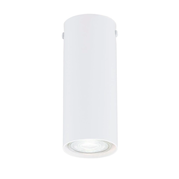 Lampa sufitowa Emibig TECNO 1S Biały oprawa oświetleniowa 1317/1S