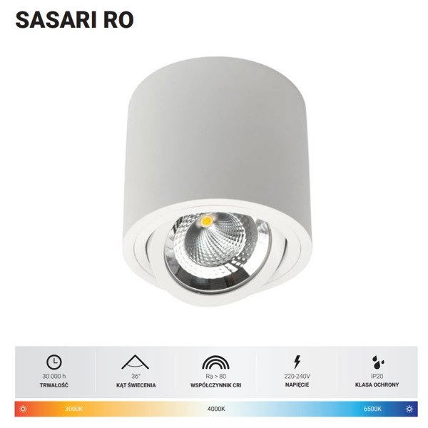 Oprawa sufitowa spot tuba SASARI RO 15W neutralna 4000K czarny śr. 16cm