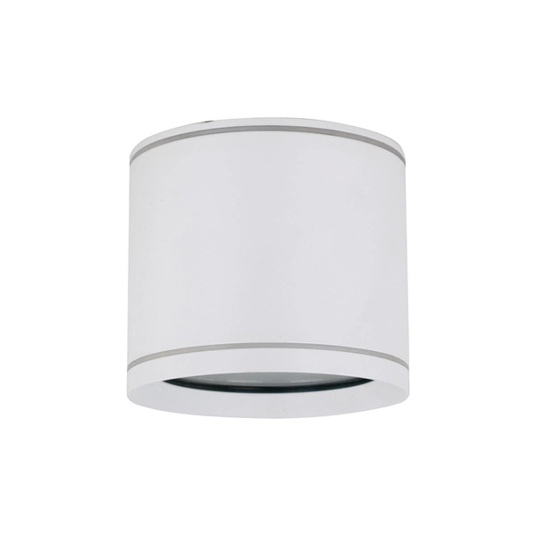 Spot sufitowy tuba VIVO WHITE GX53 10595