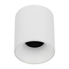 Spot sufitowy tuba BLAZE WHITE 12W 18140