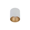 Spot sufitowy designerski tuba POINT TONE biały/złoty śr. 12,7 cm 8221