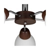 Lampa sufitowa z drewna Parma 5xE27 maks. 60W drewno bukowe orzechowe/chrom metal/białe szkło 8320576