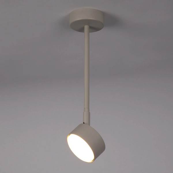 Lampa Sigma NEMO 1 L plafon szary beż 40888