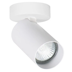 Lampa reflektor sufitowy ALFA ALASA BIAŁY 1xGU10 7cm | 59032