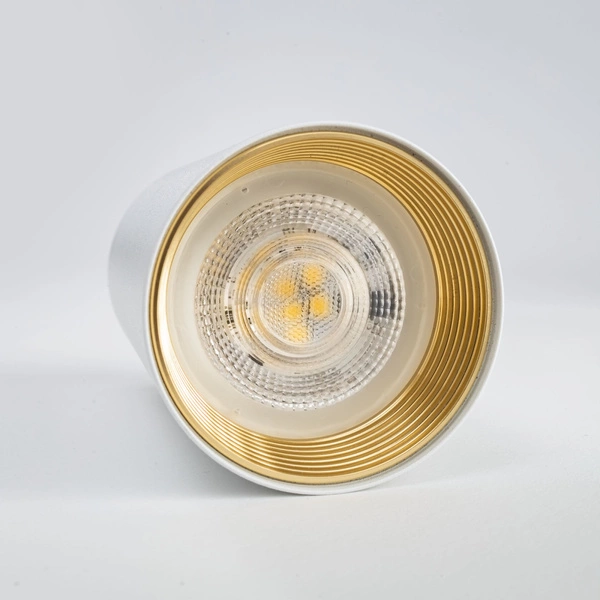 AMIS WHITE DOWNLIGHT