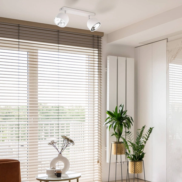 ALTEA WHITE LAMPA SUFITOWA 2 PŁ + ŻARÓWKI 6513