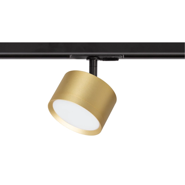 Oprawa Cyklop Track Złoty 1xGx53