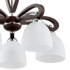 Lampa sufitowa ALFA GRACJA DREWNIANA 5xE27 48cm | 20895