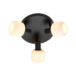 Lampa sufitowa MILFORD E14 Szkło | Czarny