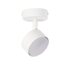 Lampa Sigma NEMO 1 S plafon biały 40978