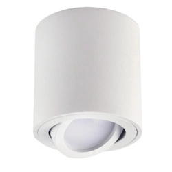 Natynkowa tuba spot AHA regulowana GU10  śr.8cm | Biała